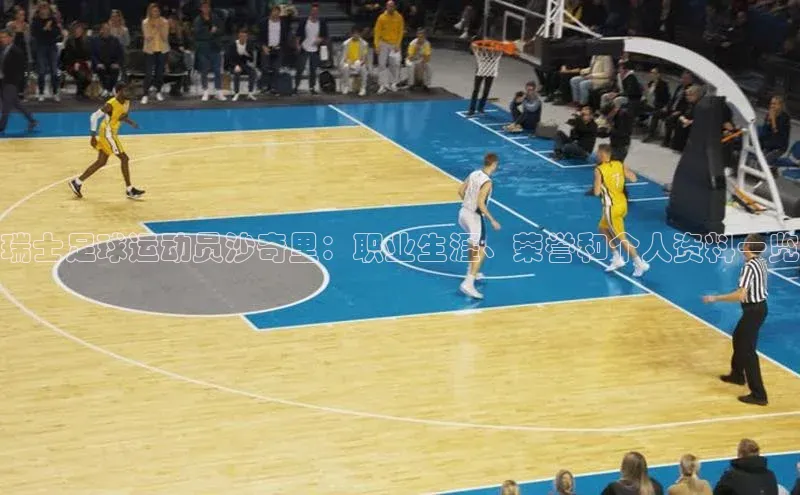 球速体育app登录入口汉得信息瑞士足球运动员沙奇里：职业生涯、荣誉和个人资料一览