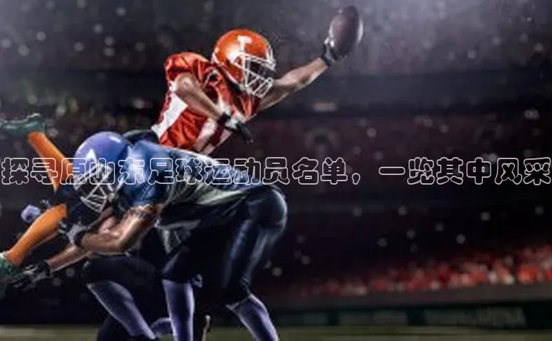 球速体育app下载地址手机版小红书探寻原山东足球运动员名单，一览其中风采