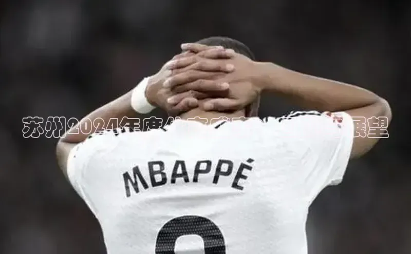 球速体育app下载百度Apollo苏州2024年度体育盛事：回顾与展望