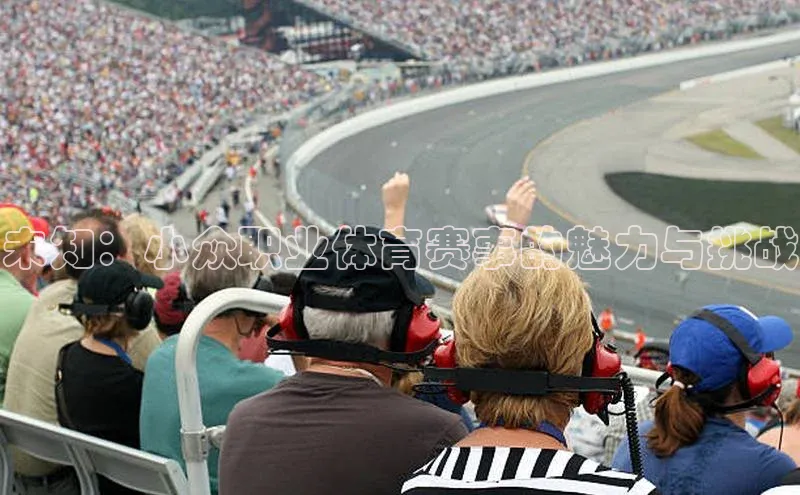 未知：小众职业体育赛事的魅力与挑战