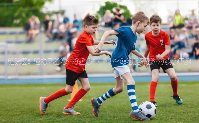 涪陵区：活力四射的运动盛事——2023年涪陵最新运动赛事概览