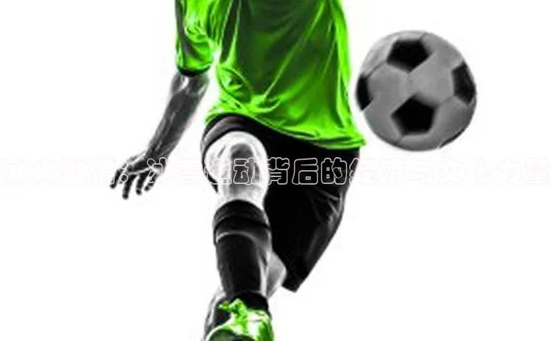 冰火激情：冰雪运动背后的经济与文化力量