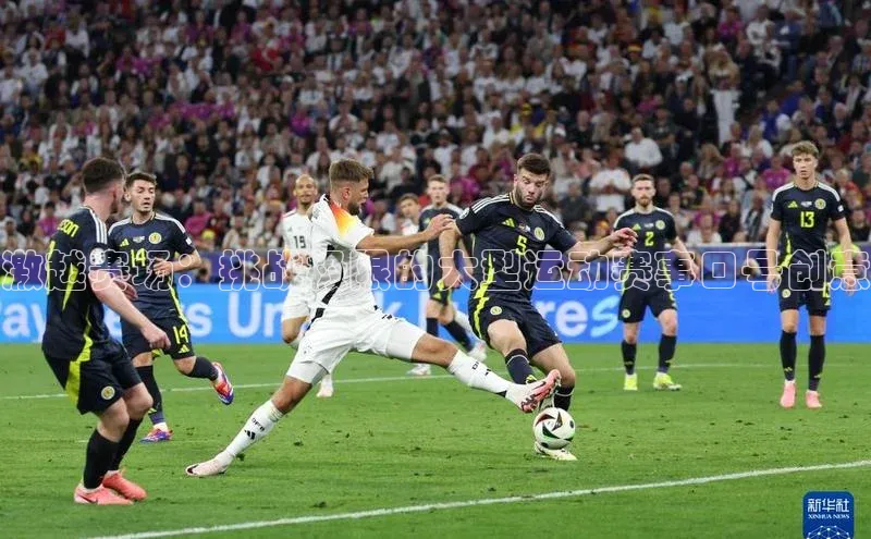 激越赛场：挑战极限的大型运动赛事口号创意