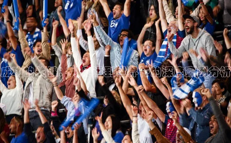 成功的关键：从奥运到世界杯的深度案例分析