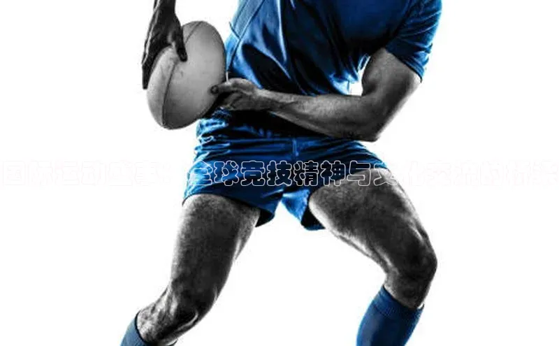 国际运动盛事：全球竞技精神与文化交流的桥梁