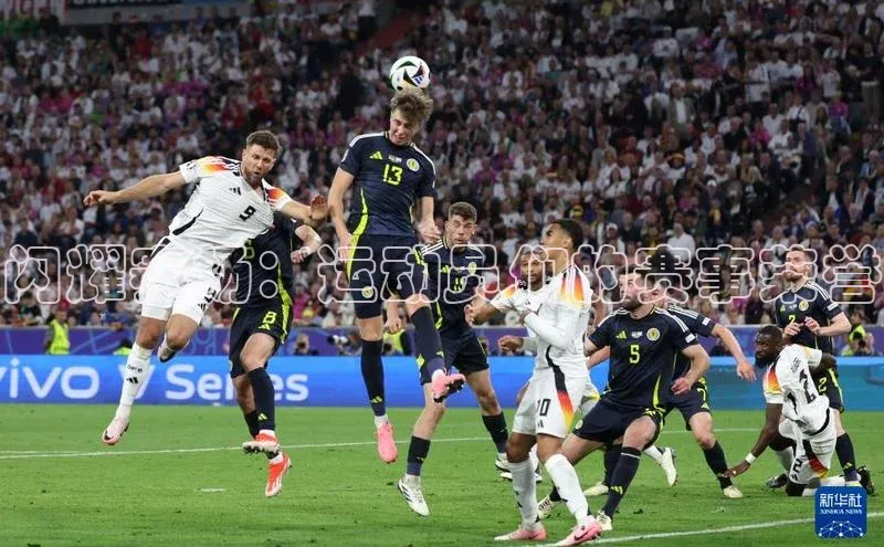 闪耀赛场：运动员们的赛事荣誉