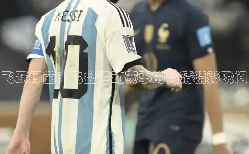 飞跃绿茵：飞盘运动赛事的高清精彩瞬间