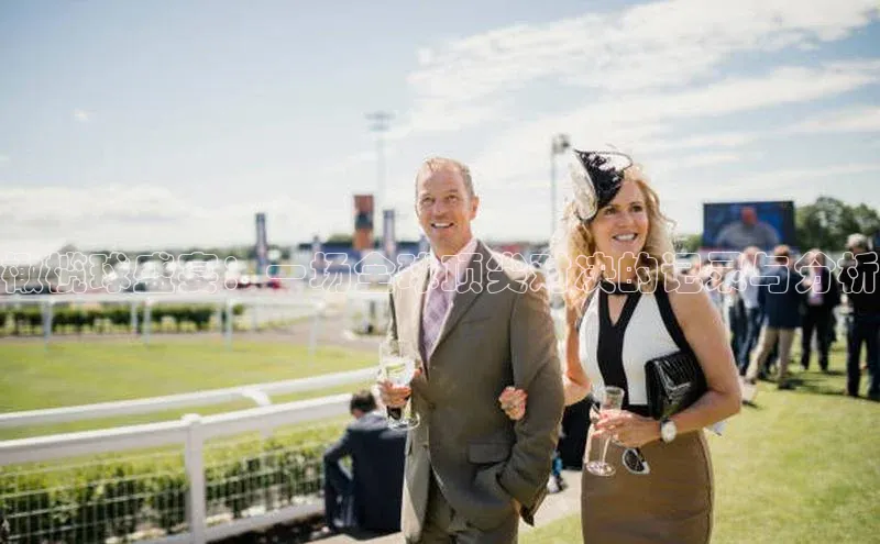 橄榄球盛宴：一场全球顶尖对决的记录与分析