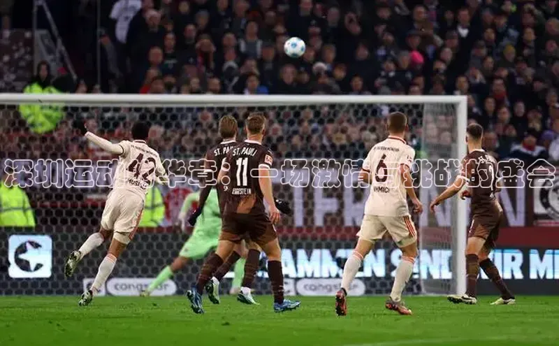 深圳运动的华章：一场激情与挑战的盛会