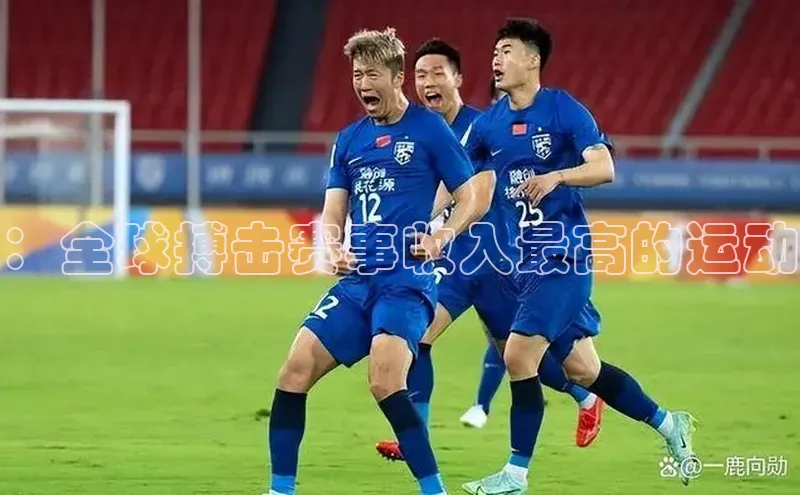 ：全球搏击赛事收入最高的运动