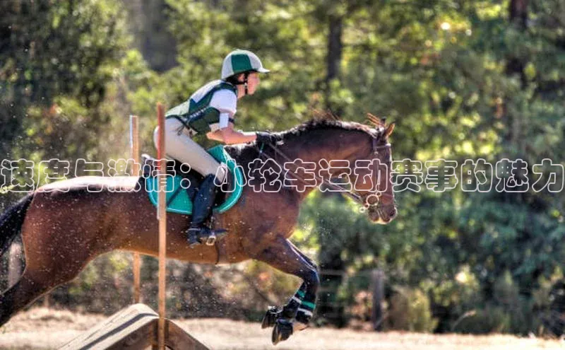 速度与激情：小轮车运动赛事的魅力