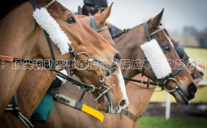 welcome-球速体育