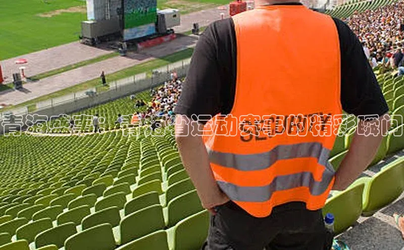 青海盛事：青海省运动赛事的精彩瞬间